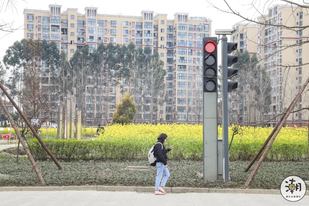 閿﹀煄鐨囧璐垫棌瀛﹂櫌,鎴愰兘閿﹀煄璐垫棌瀛﹂櫌