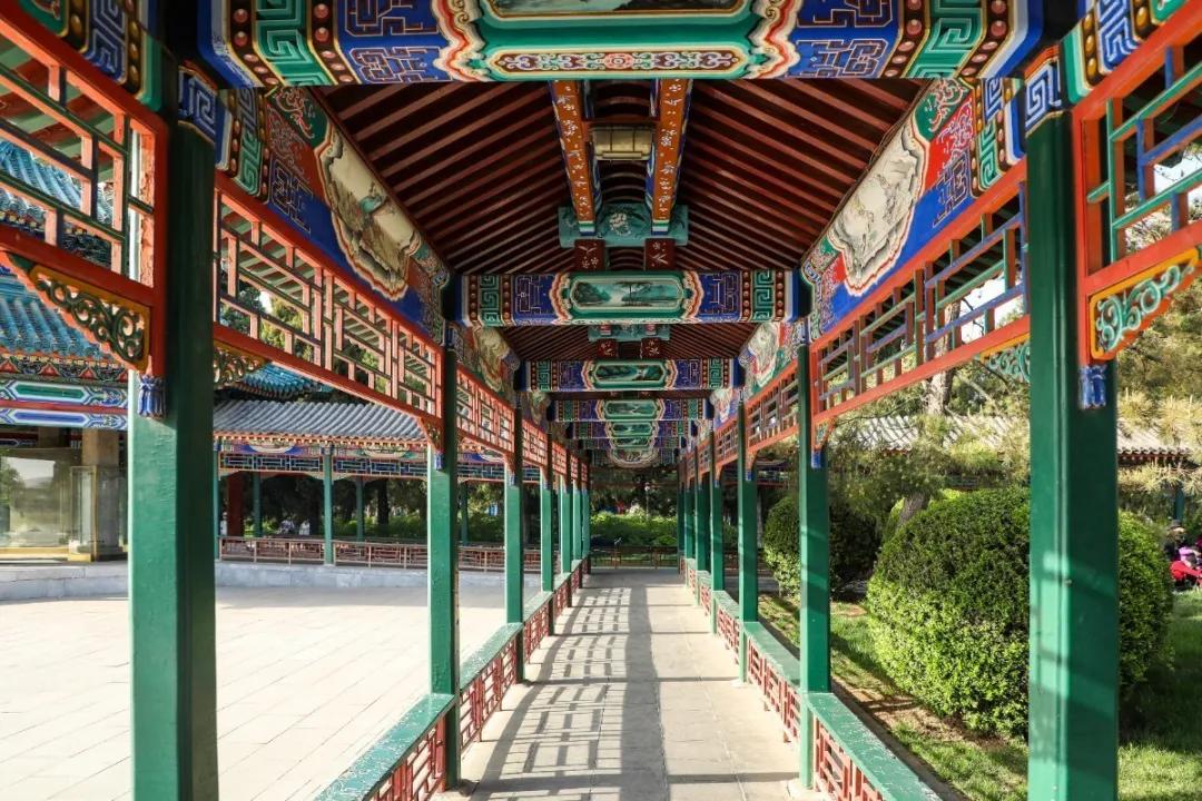 北京人少景美赏秋的公园,北京赏秋中山公园