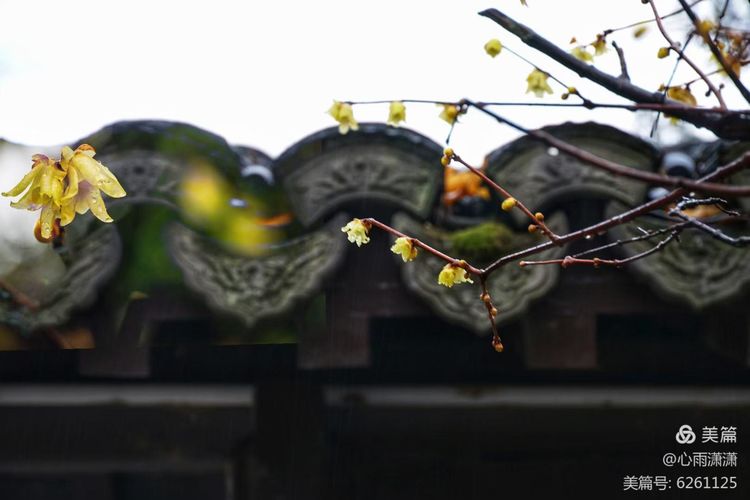 白凡逸志在线阅读,一个韩国人眼里的中国