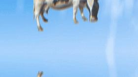 天空下起钞票雨这笔巨款从哪来的,15个从天上掉下来的诡异东西