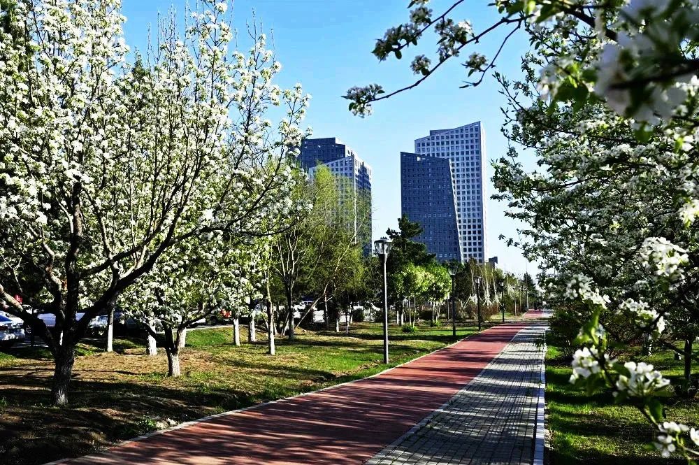 长春最新的富人区,长春都市传说