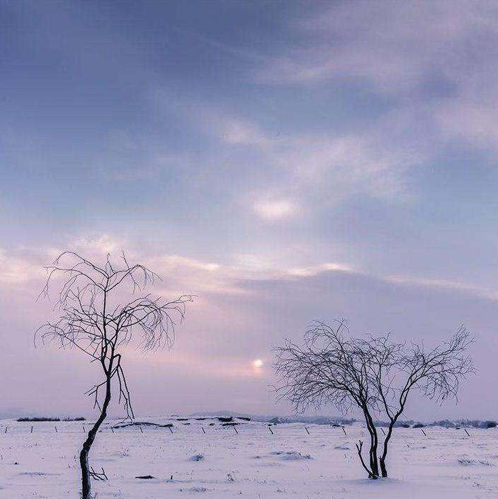 小王的生活日志,小王的日记记录