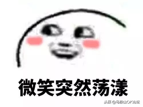 马鞍山初升高升学率,升升最近视频