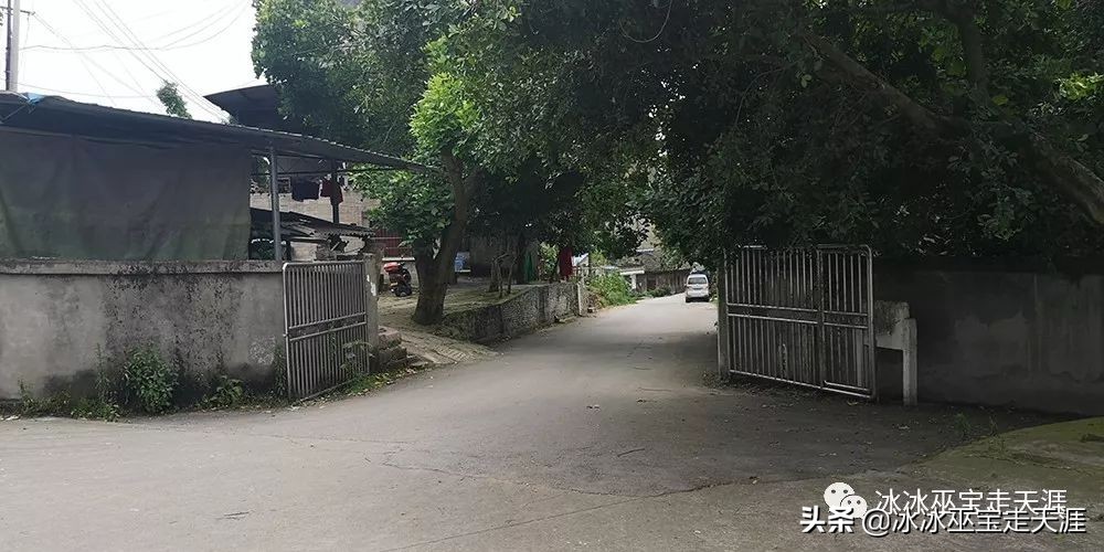 绿皮车成渝铁路上运行,川黔铁路最后的绿皮车