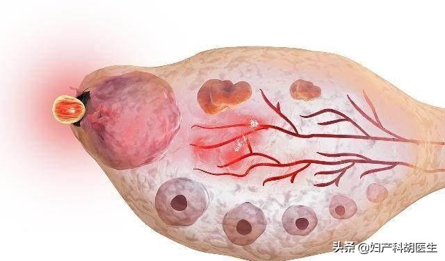 怀孕生产麻烦多？医生说，好处也不少，这些你都了解吗