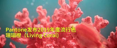 国际权威色彩机构潘通2020流行色,流行色为什么是潘通说了算