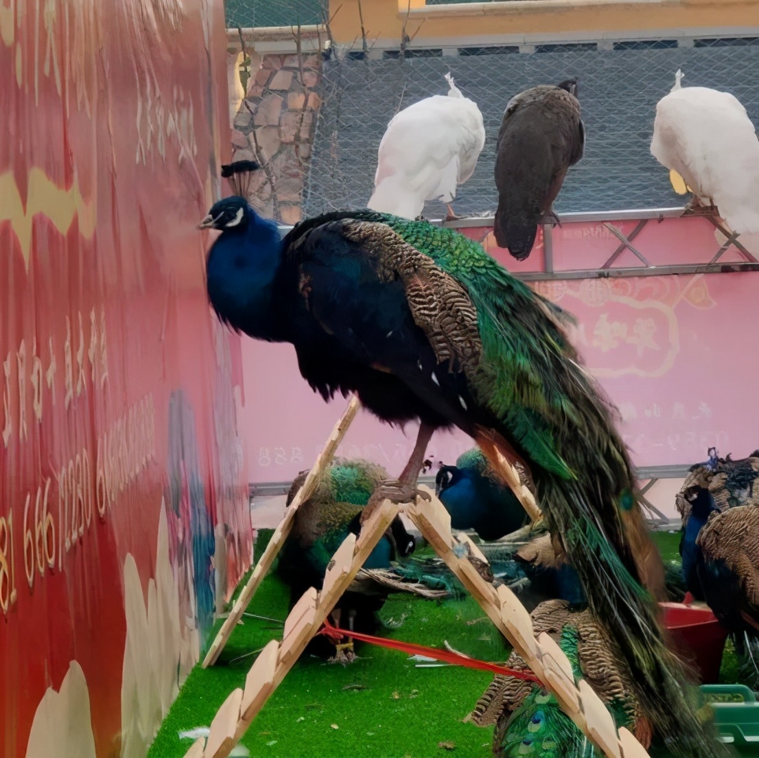 西建天茂和郡供暖,西建天茂和郡5号楼2单元楼门