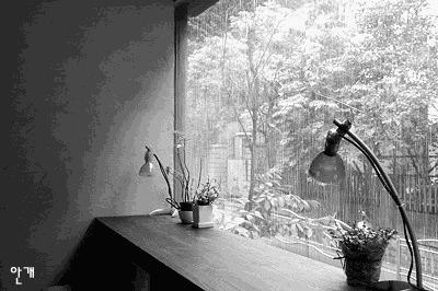 定风波晨海原版视频,定风波晴雨