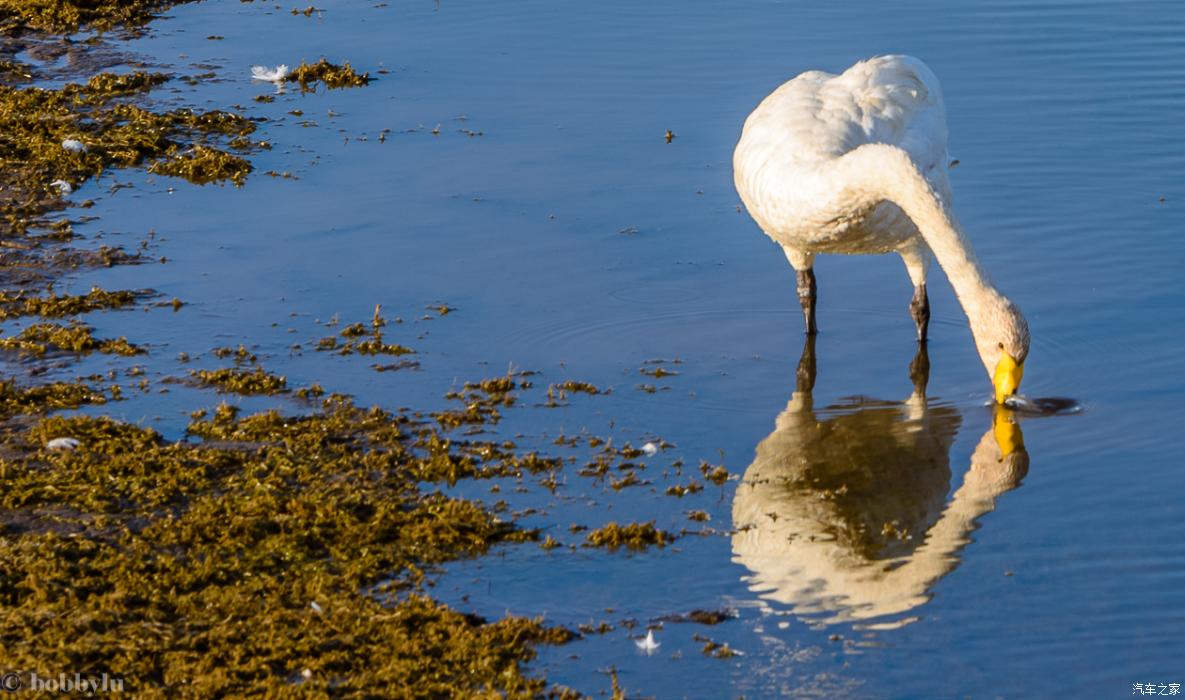 为美食而旅行,为美食美景而来