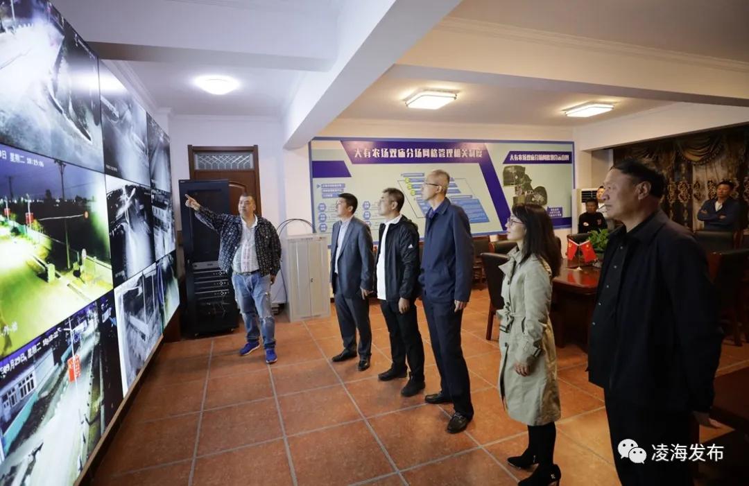 凌海市大有农场,锦州市凌海市大有农场