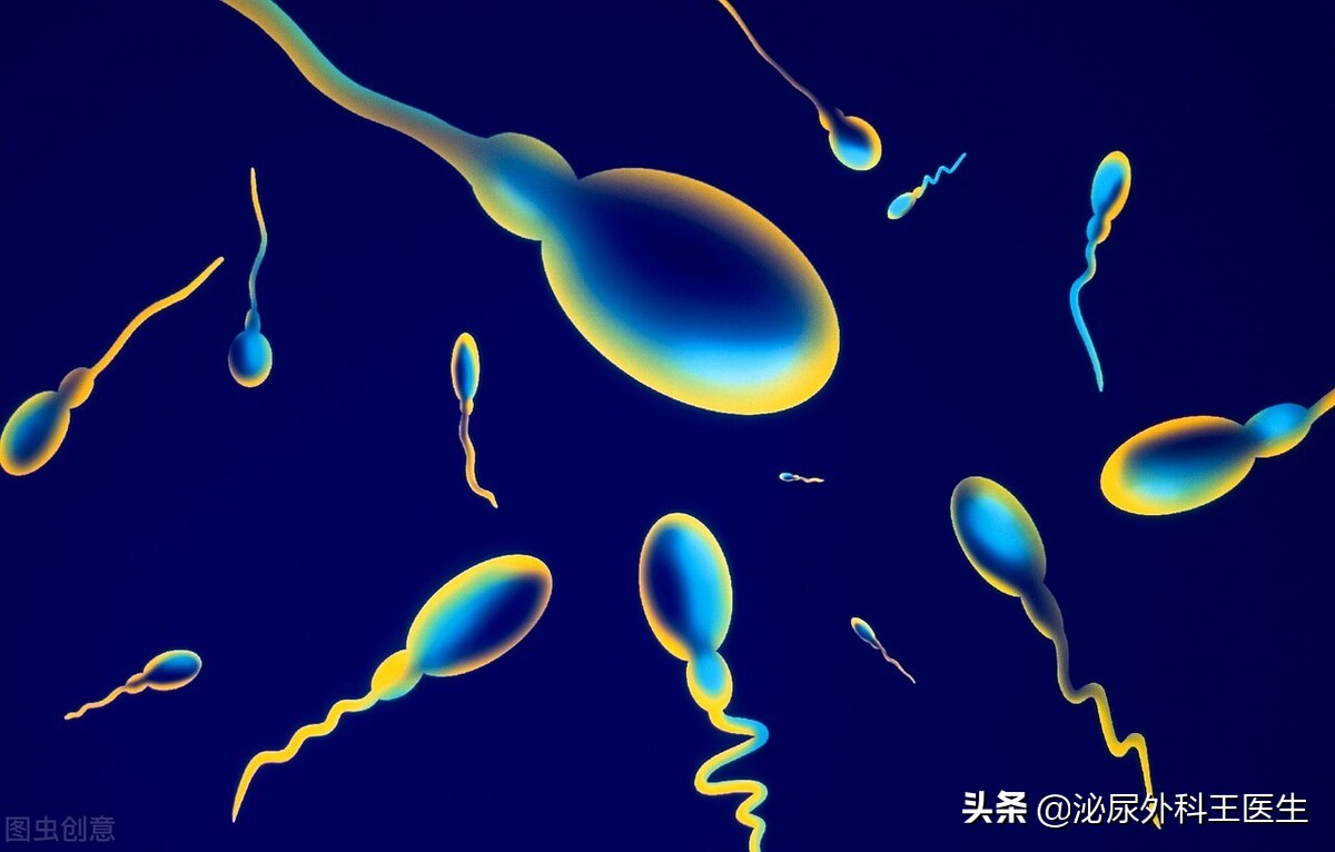 没遇上卵子的精子，最终会去哪里？