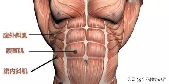 很多人在练腹的时候，腹部没有感觉，反而腰酸的不行！