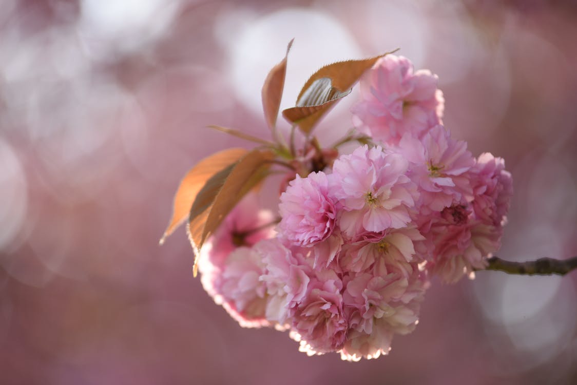 研究发现：真正的“人类高质量男性”，有三个共同特征