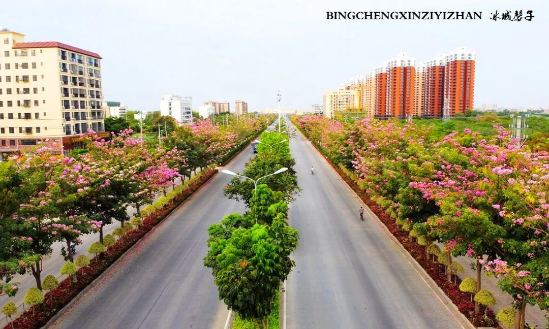 乐东九所海边康养基地,海南乐东九所景和家园