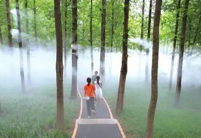 济南必去网红打卡地,济南网红打卡地经三纬三