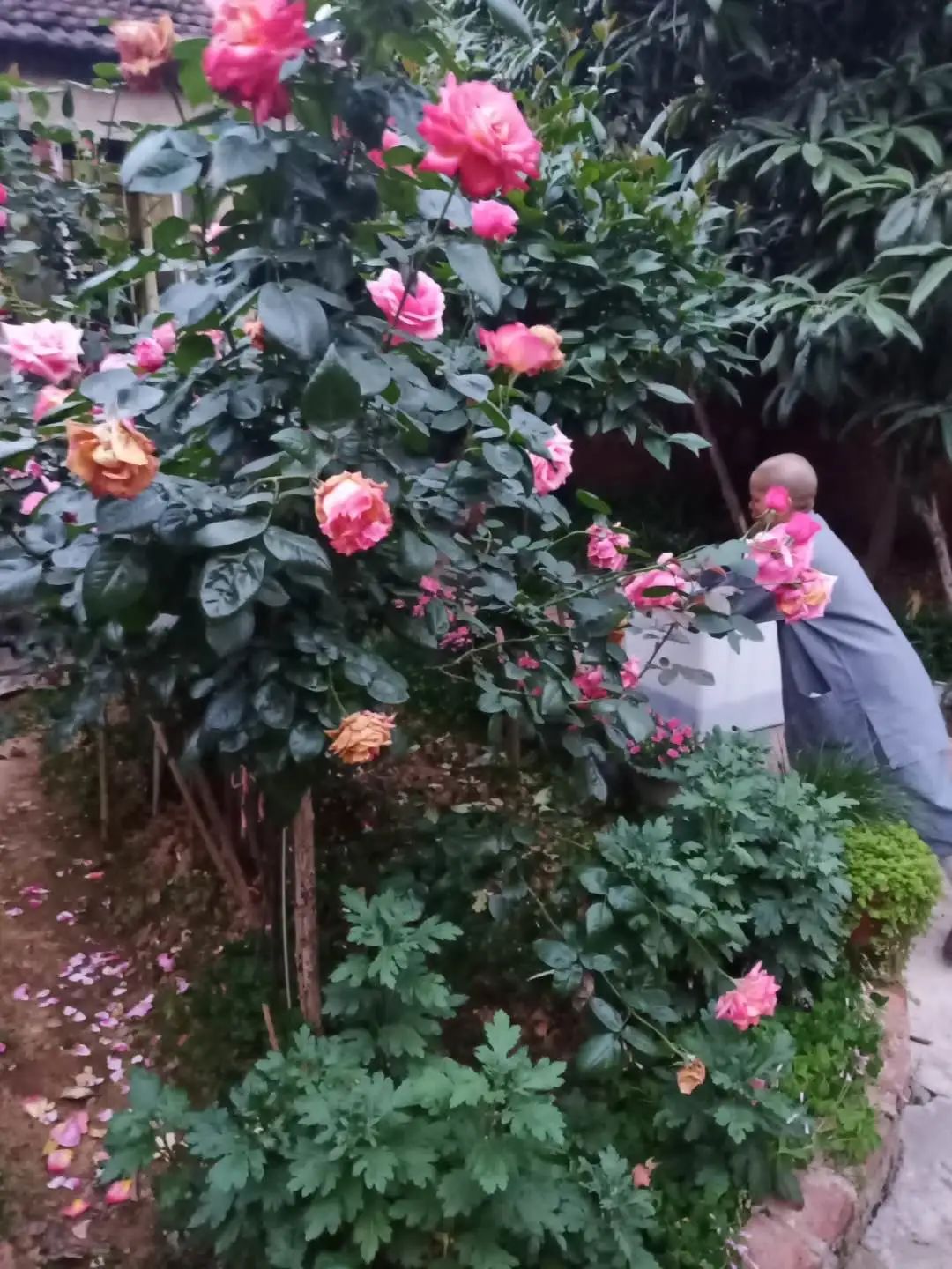 抢抓农时开展农业生产,农民纷纷抢抓春耕生产有利时机