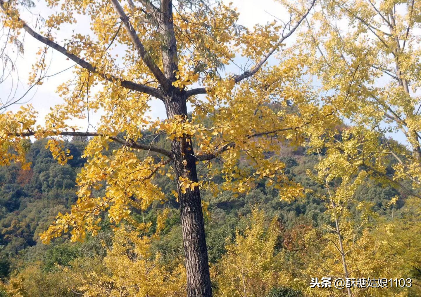 所有的运气都是积攒的人品,人品是日积月累积攒出来的