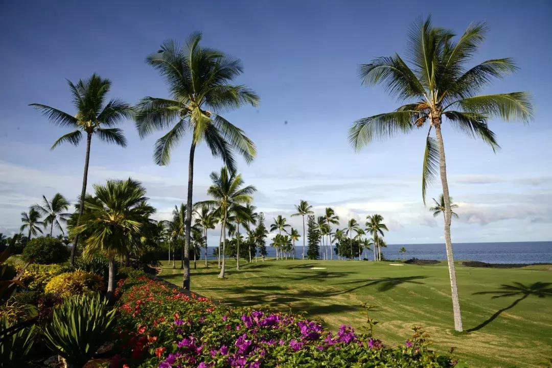 夏威夷大岛自驾游游记,大岛夏威夷岛七日游