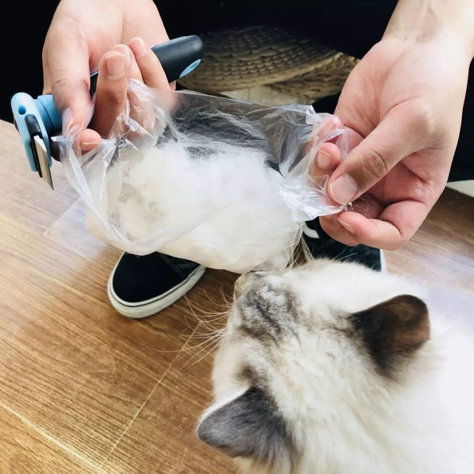 家里地上老是有毛毛怎么处理,家里毛毛灰尘多是哪里来的