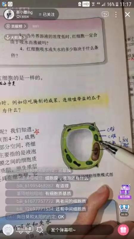 教师线上直播,观看老师教学直播的app
