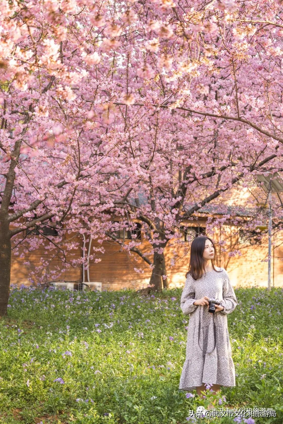 来武汉必须知道的10件事,武汉读大学攻略