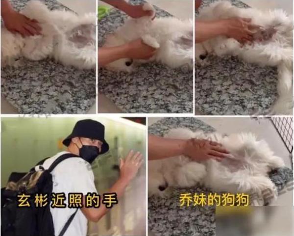 宋慧乔现状婚姻状态,宋慧乔分手后的改变