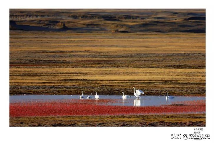 青海天峻县有2个黑海：1个是美丽的哈拉湖；1个是广阔的木里煤田