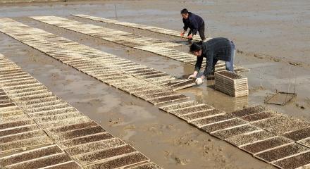 农村青年赚钱,农村青年创业模式