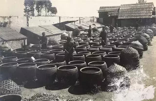潮汕人说的鱼露,潮汕鱼露什么味道