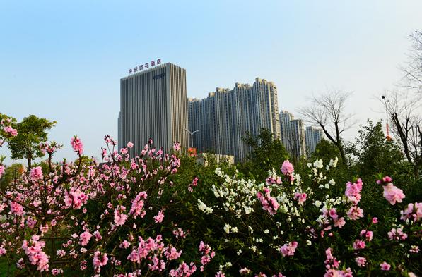 看十年前跟十年后的样子,看十年前的照片视频