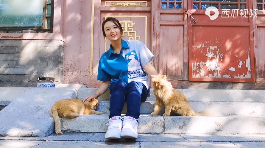 二十多岁进宫,在紫禁城中撸猫8年,她揭开了不为人知的故宫往事