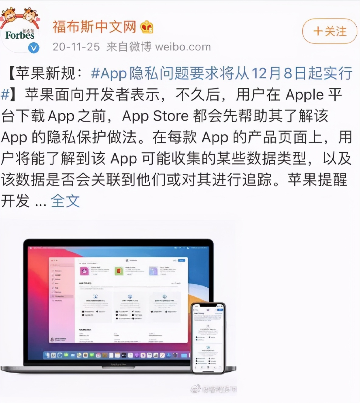 爷青结,爷青结百科内容