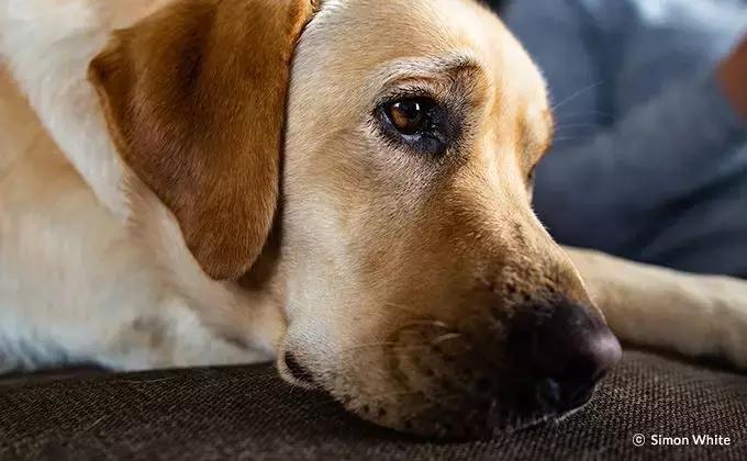 f1.2和f1.4光圈差别大吗,23mmf1.4和56mmf1.4区别