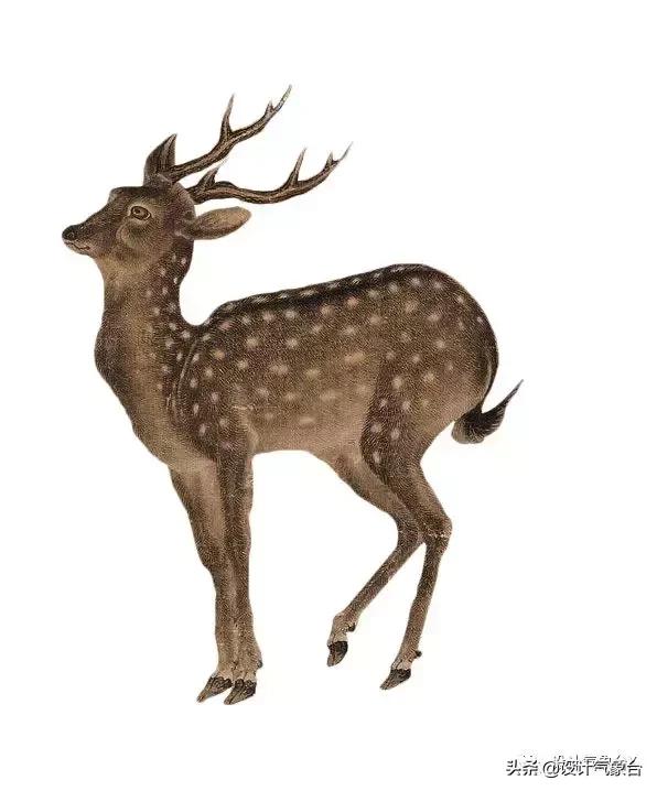 你嫉妒那个用古风出图的同事?我也嫉妒