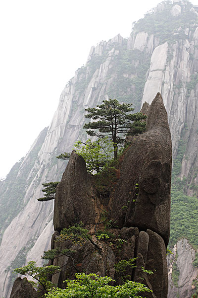 黄山游记,游记黄山