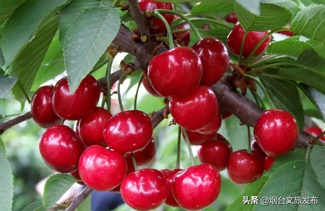 一起来了解福州,一起来了解沁县