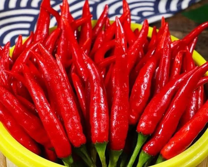 酸坛子怎么泡又脆又香,桂林酸坛子配什么吃