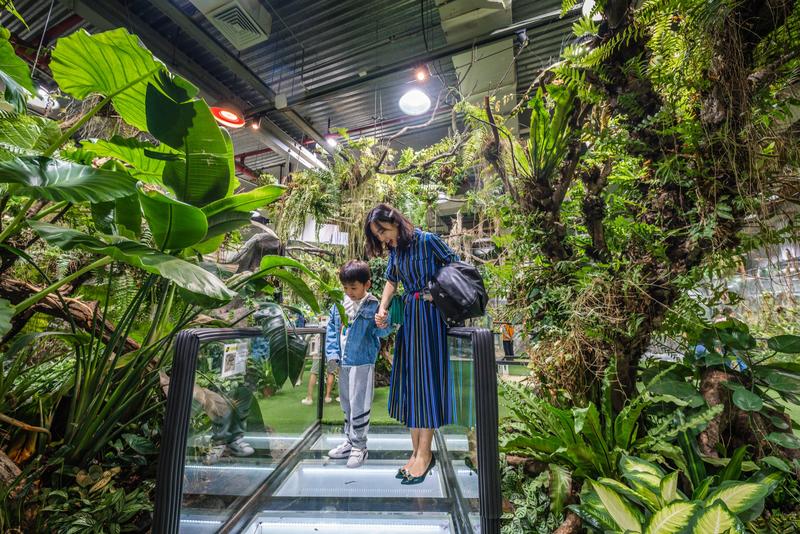 厦门冬春攻略,夏天厦门旅游攻略美食篇