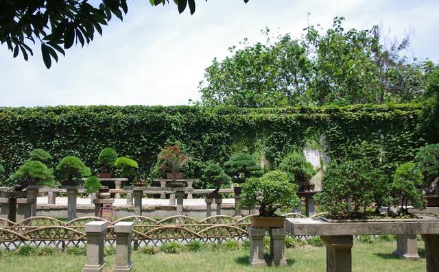 拙政园为什么是园林之首,中国四大名园之一苏州的拙政园