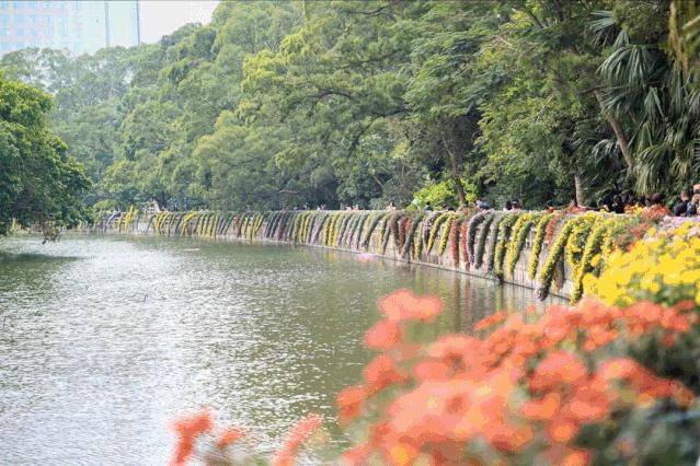 深圳吃喝玩乐两日游推荐,深圳周边游吃喝一日游推荐