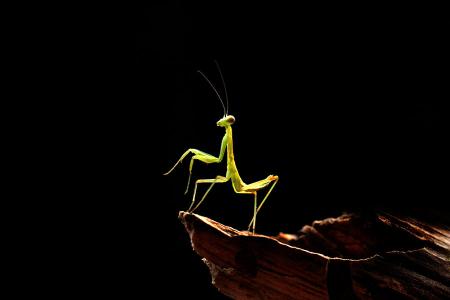 批发商商业模式,新零售渠道的趋势