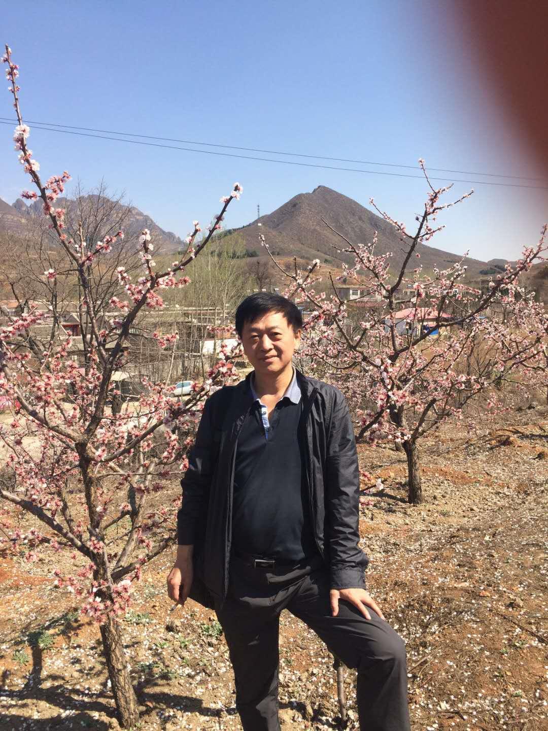 野草诗社理事会向全体诗友和关心、支持诗社的社会各界朋友拜年！