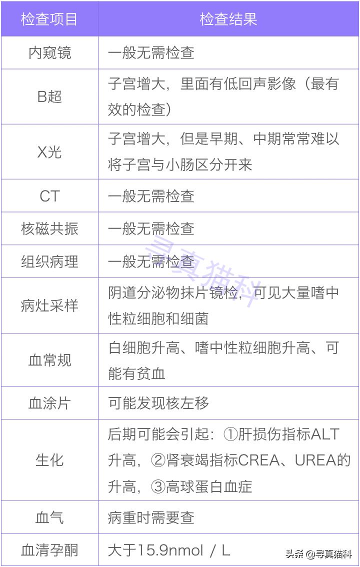 猫子宫蓄脓会造成白细胞偏低吗,猫子宫蓄脓用不用戴头套