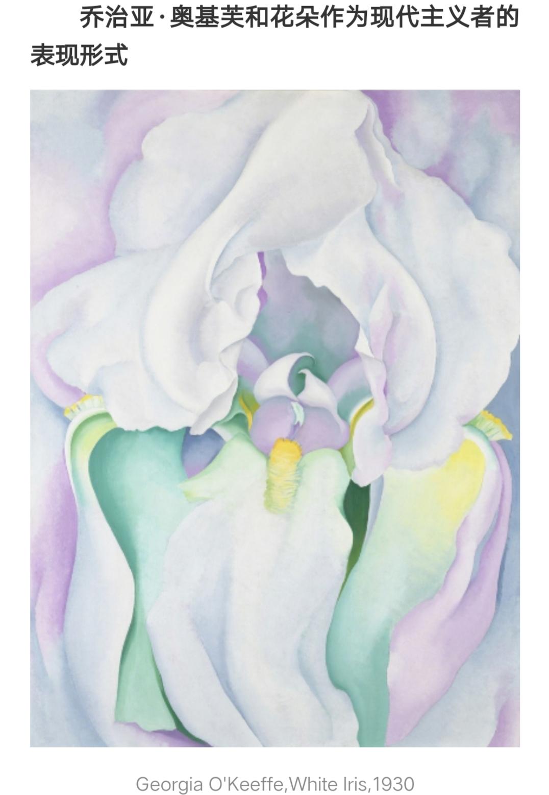 从地产销售到知名花艺师，是热爱，是坚持，也是花束的独特绽放