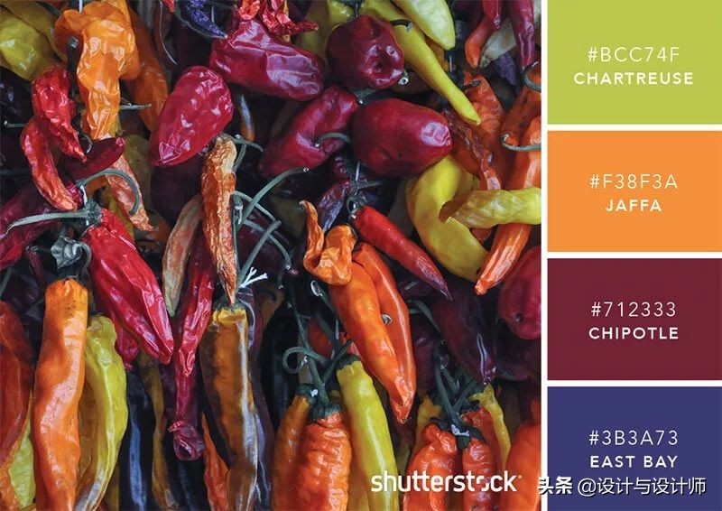 设计色彩总结200字左右,设计配色6种颜色