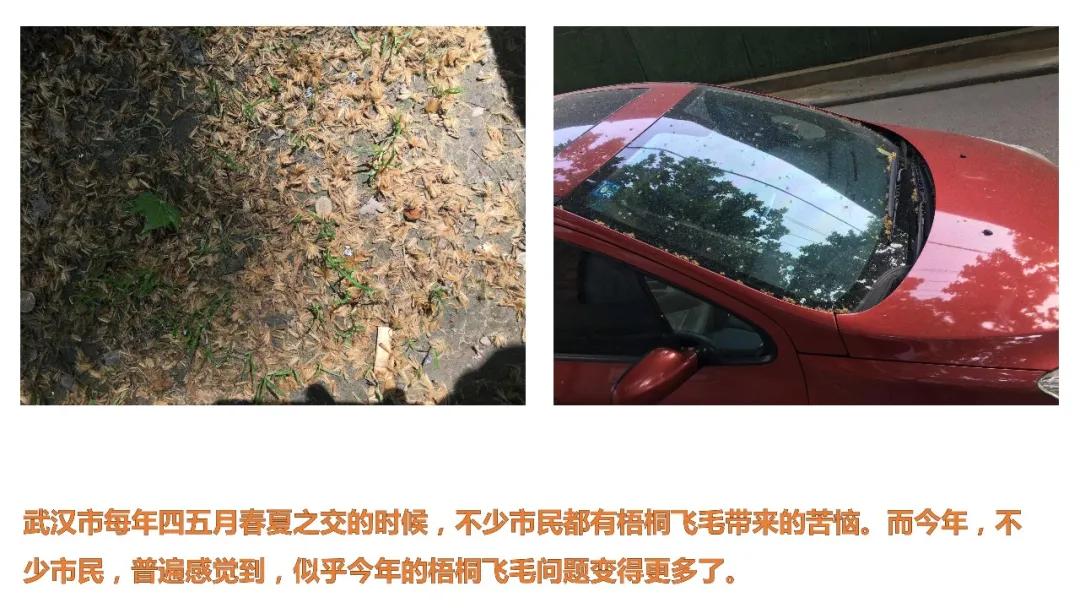 鲜花常在原创的音乐,鲜花常在创作的原声