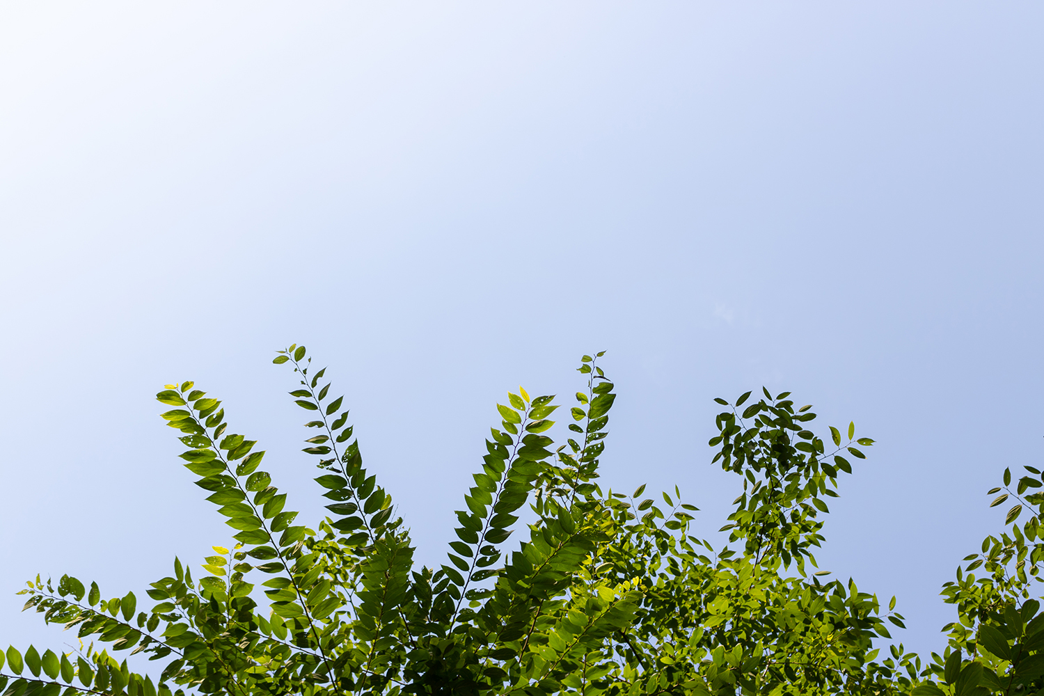 学生佳能相机推荐新手入门,佳能eos750d怎么拍摄