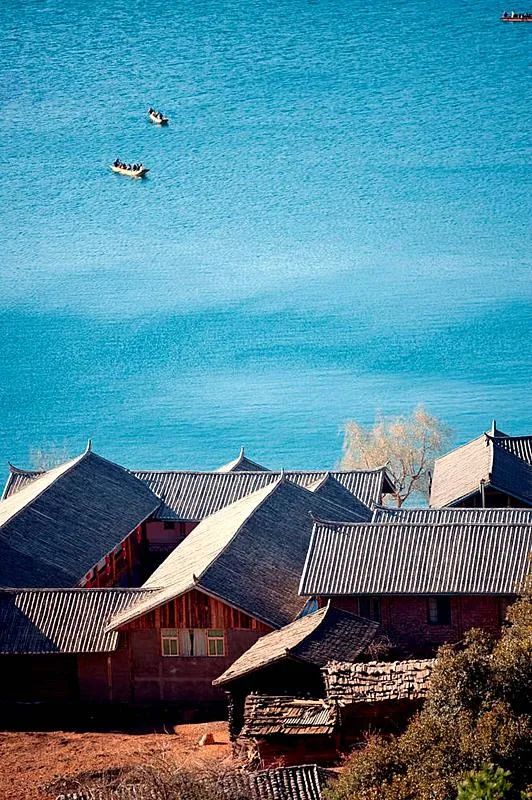 12月想要什么,12月的冬日暖阳岁月如此静好