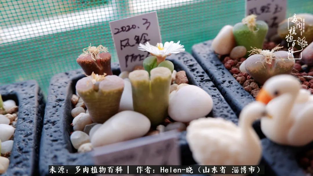 人到中年温暖如初,人到中年岁月静好