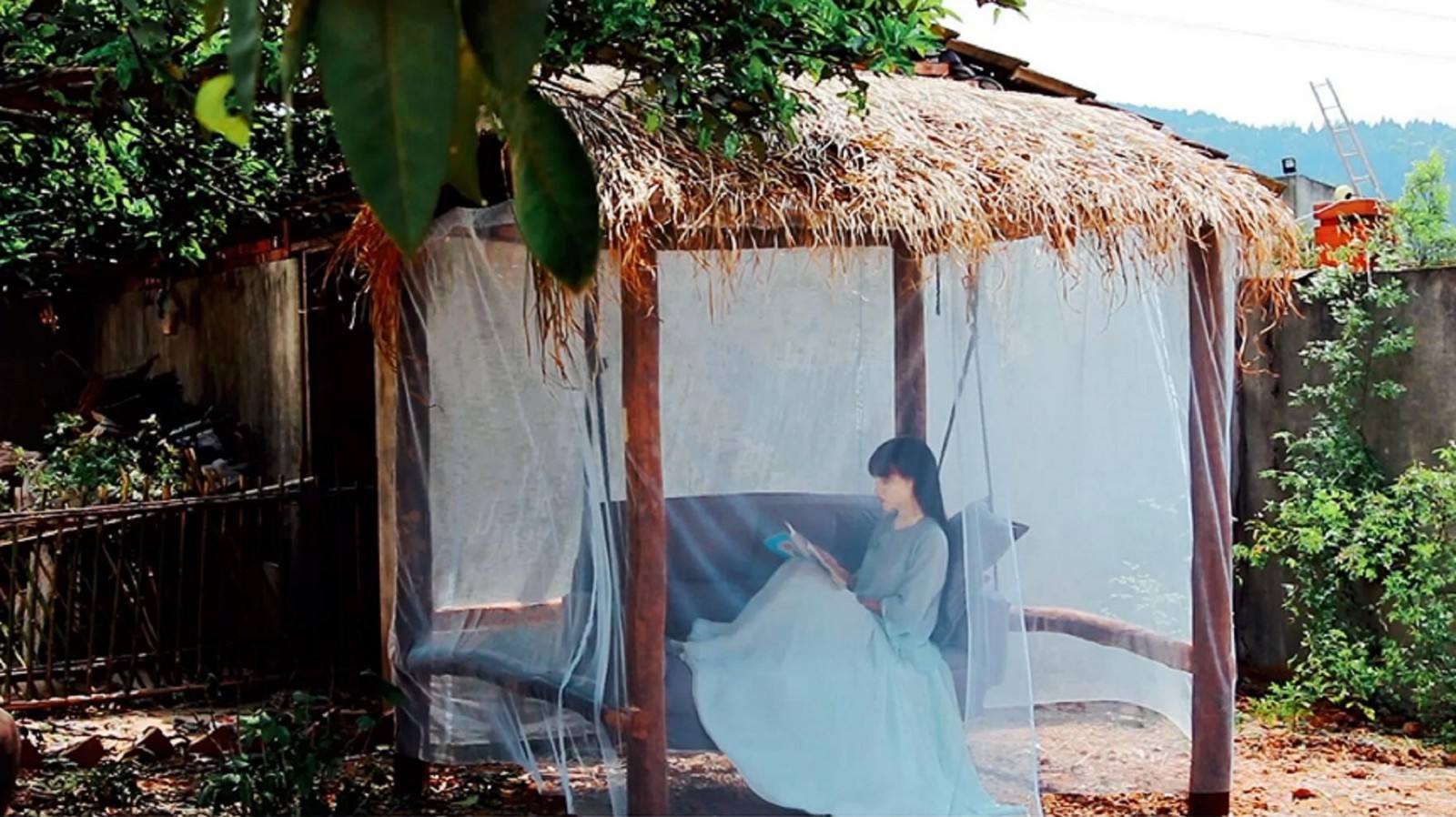 李子柒乡村振兴大使,李子柒乡村文化振兴